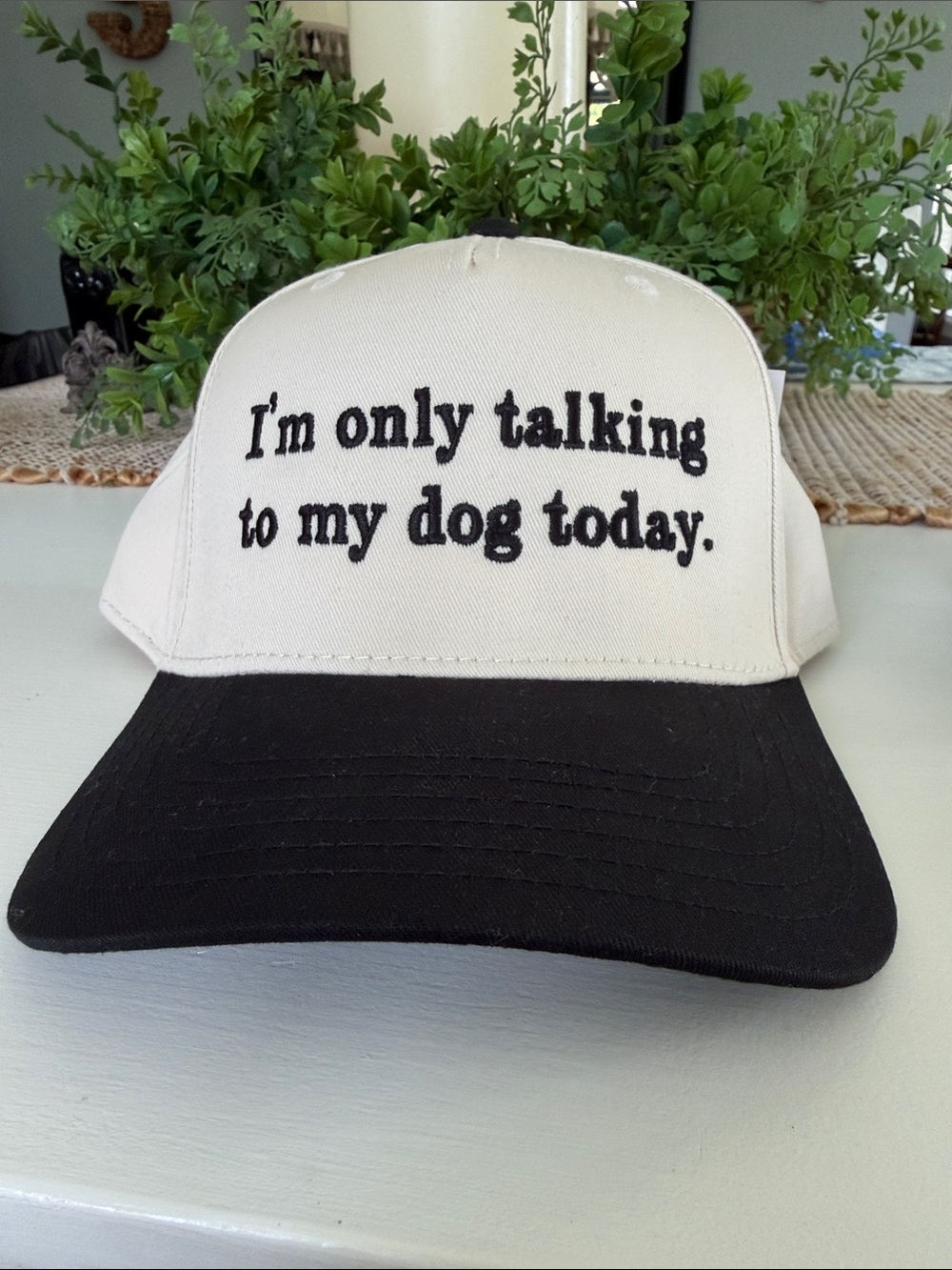 I'm Only Talking To My Dog Today Baseball Cap - Black & Cream